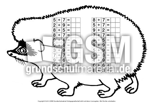 Igel-ZR-20-Addition-2.pdf